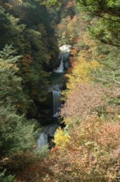 渓谷の水面に映える紅葉