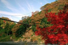 森林公園内の吊り橋と紅葉が織りなす、風情あふれる秋景色