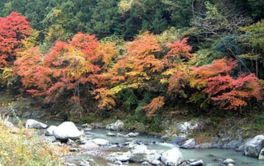 渓谷を彩る紅葉を鑑賞できる