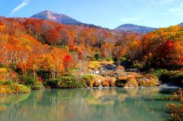 地獄のように熱い沼が紅葉を反射する