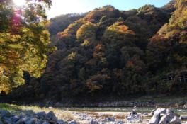 広く紅葉した風景が楽しめる