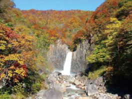 勢いよく流れ落ちる滝の周囲を紅葉が赤く彩る