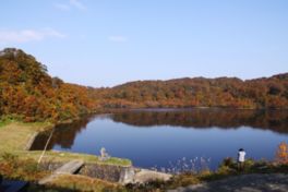 池を囲む紅葉は見事