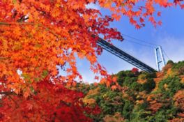 秋には空中回廊から紅葉が楽しめる