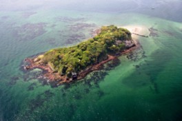 猿島は東京湾で自然林のある最大の無人島