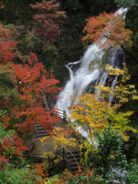 公園最大の雌滝は約60mの大迫力の水量