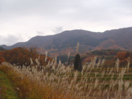 津黒高原荘では雲海からのぞく紅葉が楽しめる