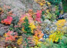 山水画のような美しい紅葉が楽しめる