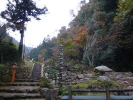 木々は10月下旬から色づき始める