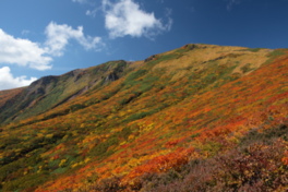 山肌を覆う色とりどりの木々が美しい