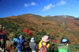 ミズナラ、ブナなどが美しく色づく紅葉時期は多くの登山客が訪れる