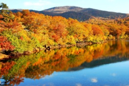 秋晴れの青空と紅葉が湖面に映える