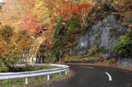 流れゆく紅葉の木々を楽しみながらドライブ