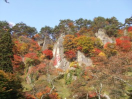 園内のところどことろで岩肌に茂る紅葉を見られる