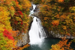 紅葉に囲まれた荘厳な滝