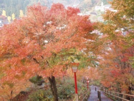 山全体が鮮やかに赤く染まる