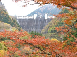 ダムから秩父の紅葉を楽しむことができる