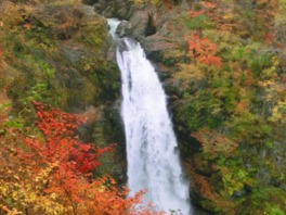 流れ落ちる滝の音と紅葉の情景がマッチ