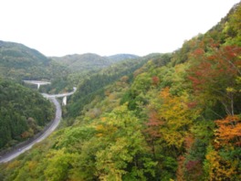 ループ橋を走り抜けながら眺める紅葉は絶景だ
