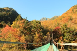 白鳳渓谷の吊橋からの紅葉と北岳