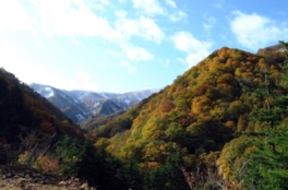 変化に富んだ形状の岩肌が美しく色づく