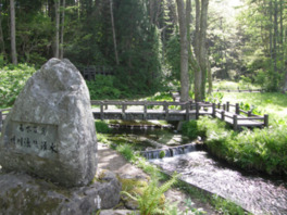 名水百選の石碑とともに見える姫川源流の５月下旬ごろ