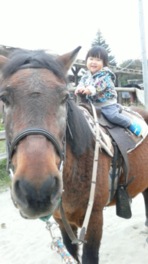 乗馬体験は小さな子供も楽しめる