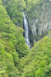 澗満滝をめぐる緑と岩壁が絶景を織り成す