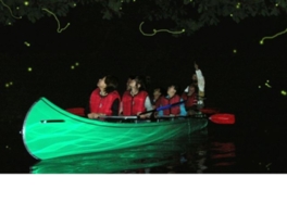 青木湖ホタル観賞クルーズは、特に人気のアクティビティー