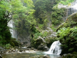 夏の三本滝は各滝の個性的な流れが涼感をさそう