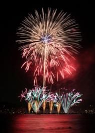 多種多様な花火が夏の夜の浜辺を華やかに彩る(イメージ)