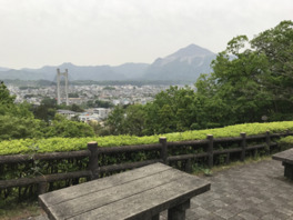 展望台から眺める秩父市街地(秩父公園橋と武甲山)