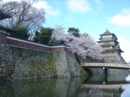 桜咲く季節の高島城と冠木橋。水面にも美しい姿を映す
