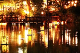幻想的な一夜が満喫できるイベント
