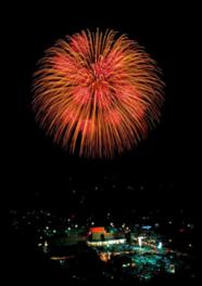 夜空に咲く鮮やかな紅色の大輪花火