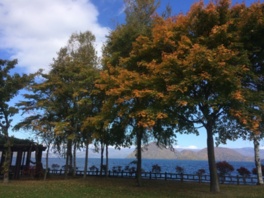湖畔沿いから眺める紅葉が見ものだ