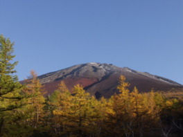 御庭から色づいた景色を楽しむ