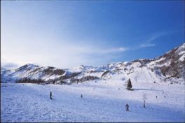 関西のスキー場といえば名が挙がるメジャーゲレンデ