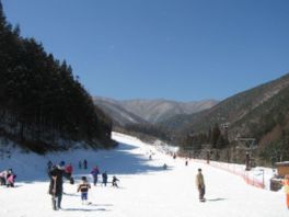 ゲレンデに沿ってペアリフト2基が運行する