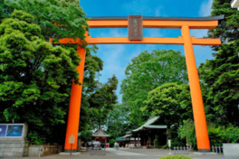 木造鳥居としては日本最大級の大きさを誇る大鳥居