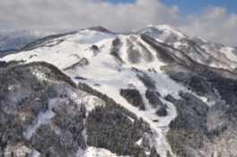 コース･施設･雪･アクセスと、4拍子が揃ったスキー場
