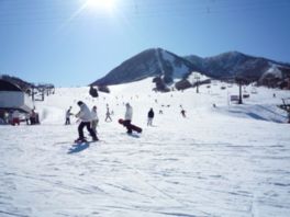 日本海に近いロケーションで雪質が良好