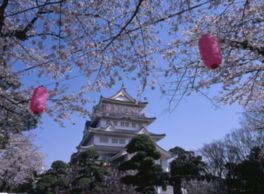千葉城と満開の桜が同時に楽しめる
