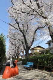 遊具やベンチでのんびり桜を眺めることもできる