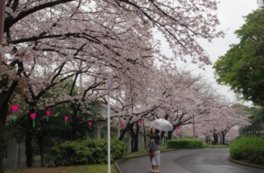 愛知県名古屋市の季節のイベント情報一覧 11件 ウォーカープラス