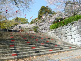 様々な歴史遺産が散りばめられた園内には約500本もの桜が咲き誇る