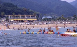 日本の快水浴場百選にも選定された南国ムード漂う海水浴場