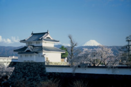舞鶴城と桜、富士山の豪華なコラボレーション