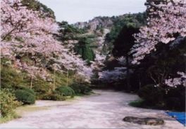 風情ある景観を生み出す