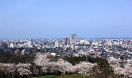 桜と共に金沢市街・白山を一望できる